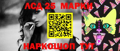 дживик Кингисепп