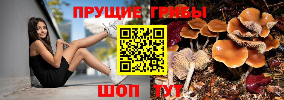 Галлюциногенные грибы Psilocybe  Вход с VPN  Галлюциногенные грибы мухоморы  Кувандык 
