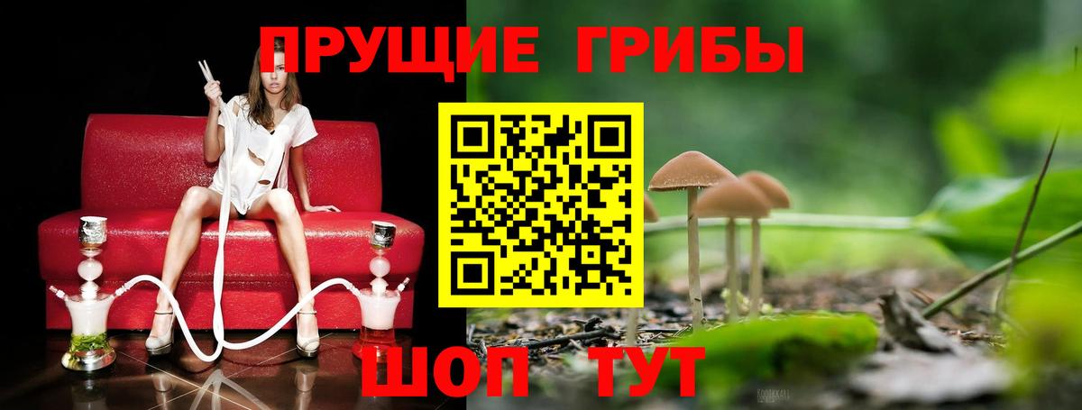 Галлюциногенные грибы GOLDEN TEACHER Кувандык