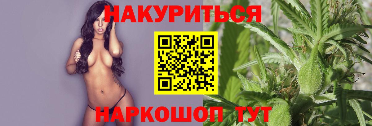 Бошки марихуана MAZAR  Каннабис OG Kush  Кувандык  Бошки марихуана план  Шишки марихуана ГИДРОПОН  Вход с VPN 